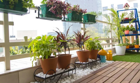 Why is it a good idea to observe which balcony spots get evening sun before buying sun-loving plants?